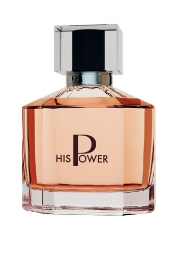 العطر الرجالي 100 مل من فارماسي Farmasi His Power EDP 100 ml Men's Perfume 