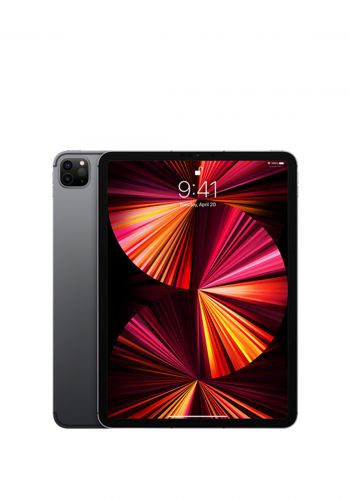 Apple iPad Pro 11-inch M1 Chip WiFi 256GB  - Gray ايباد