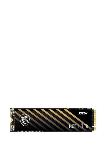 ذاكرة تخزين داخلية MSI Spatium M470 PCIe 4.0 M.2 NVMe 1TB SSD Internal Solid State Drive 