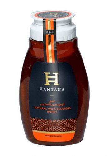 عسل الزهور البرية الطبيعي 500 غم من هانتانا Hantana Wildflower Honey