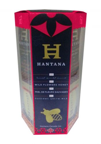 مجموعة عسل الزهور الطبيعي 12 ملعقة من هانتانا Hantana Natural Flower Honey 