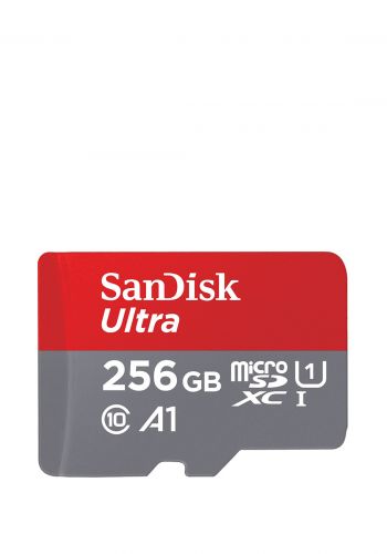 بطاقة ذاكرة من ساندسك SanDisk  256GB Micro SD Class 10 Memory Card