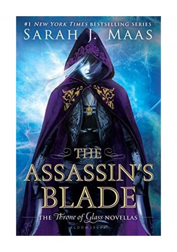 The Assassins Blade Novel