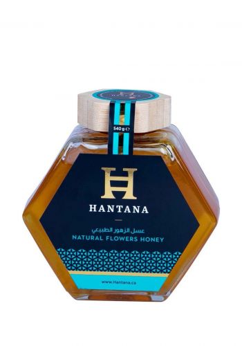 عسل الزهور الطبيعي 540 غم من هانتانا Hantana Natural Flower Honey 