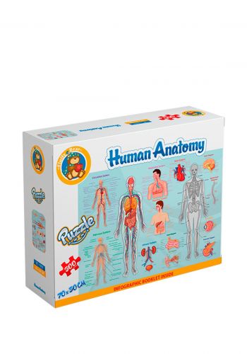 لعبة بازل علم التشريح البشري من فلافي بير Fluffy Bear Human Anatomy