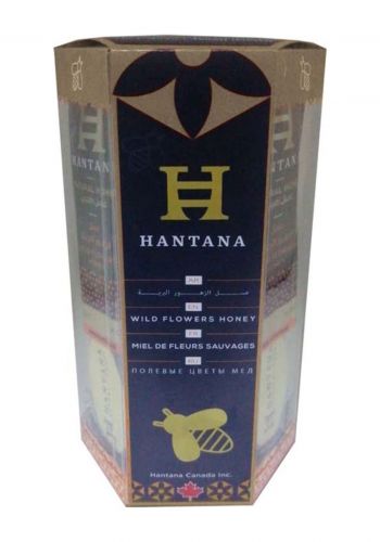 مجموعة العسل الاسود الطبيعي 12ملعقة من هانتانا Hantana Black Honey