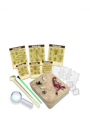 لعبة التنقيب 4M Creepy Crawly Digging Kit 