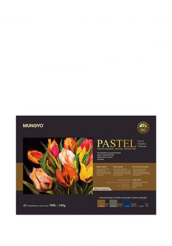 دفتر رسم  باستيل  A3 من مونكيو 20 ورقة × 4 الوان متنوعة داكنة  Mungyo MPPP-A3DA Pastel Paper Pad