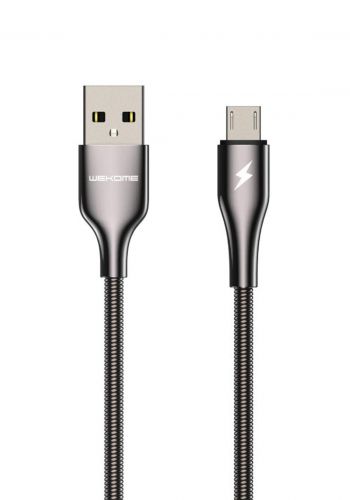 WK WDC-114 USB Micro Data Cable 1m - Silver كابل