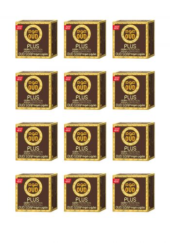 صابون للحماية من الجراثيم 125 غم 12 قطعة من عود Oud Luxury Collection Oud Soap