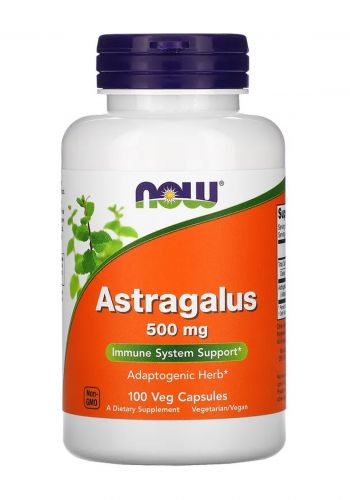 مكمل عـشبة الأستراجالس الغذائي 100 كبسولة من ناو Now Astragalus 500 mg Dietary Supplement
