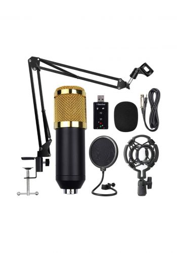 Microphone Kit BM800 Professional Condenser Commentary  for Studio - Black
