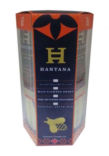 مجموعة عسل الزهور البرية الطبيعي 12ملعقة من هانتانا Hantana Wildflower Honey