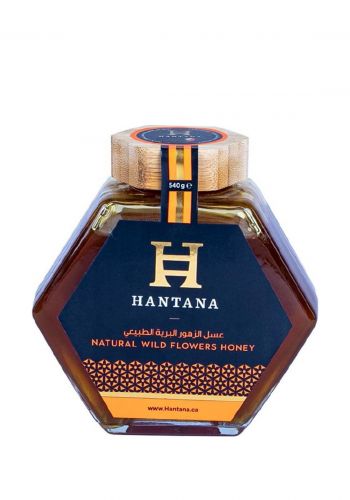 عسل الزهور البرية الطبيعي 540 غم من هانتانا Hantana Wildflower Honey