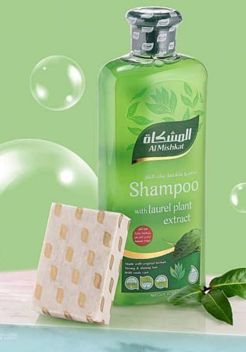 شامبو بخلاصة نبات الغار 700 مل مع صابون بالزيوت الطبيعية من المشكاة  Al-Mishkat Laurel Extract Shampoo 