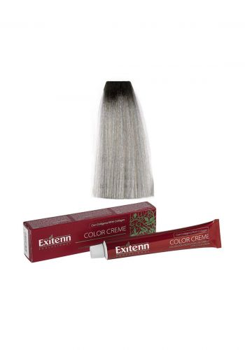 Exitenn Professional Color Cream 100 ml No.10001- Nordic Silver صبغة شعر