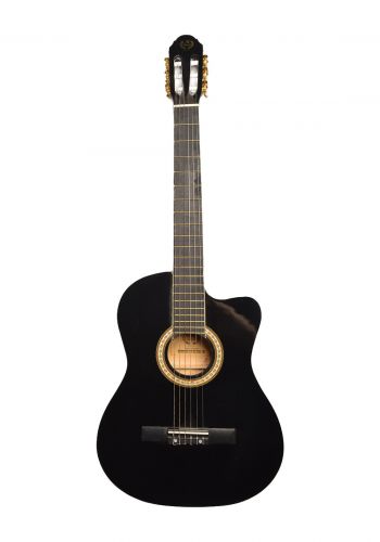 جيتار سوبر  احترافي  super Professional Guitar
