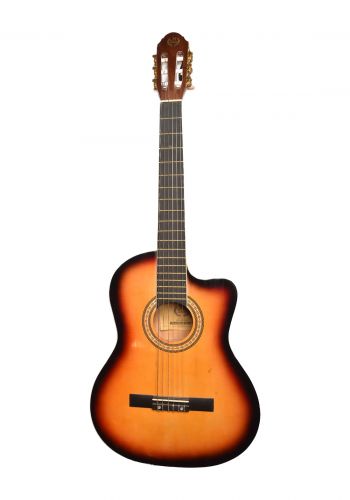 جيتار سوبر  احترافي  super Professional Guitar
