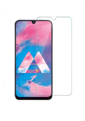 Screen Protector for Galaxy A20s  واقي شاشة